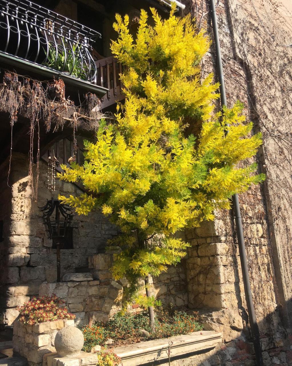 לינה וארוחת בוקר Gussago Torre De Salis מראה חיצוני תמונה